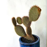 ヴィラ Casa Mialma Lanzarote