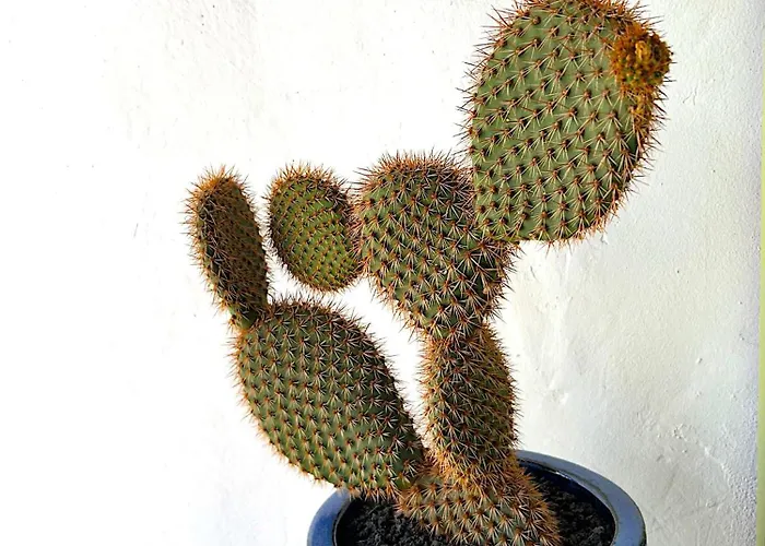 빌라 Casa Mialma Lanzarote