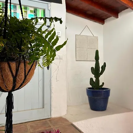 Casa Mialma Lanzarote Villa